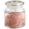 Video sticker 🧠 🥩 :: @fStikBot