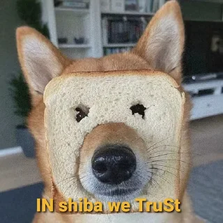 Telegram sticker 🤩 Global$SHIBA