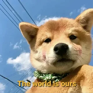 Telegram sticker 🔜 Global$SHIBA
