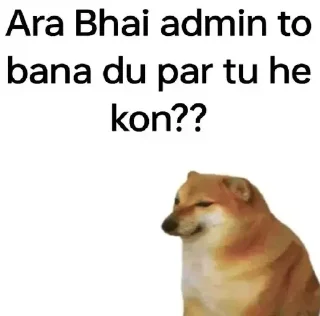 Video sticker 🙂 @iitpaglu Benzene ka pack