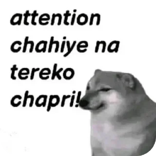 Telegram sticker 🐶 @iitpaglu Benzene ka pack