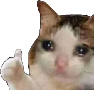 Video sticker 👍 @worldsgreatestliar | Volume I (@CalsiBot)