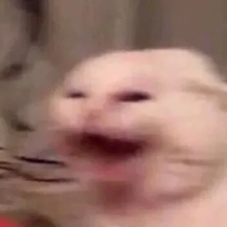 Telegram sticker 😆 @worldsgreatestliar | Volume I (@CalsiBot)