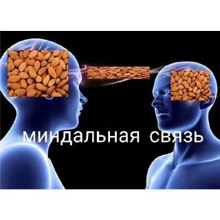 Telegram sticker 🌰 миндальная связь