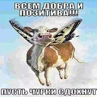 Telegram sticker 🐮 миндальная связь