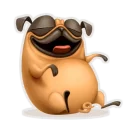 Video sticker 😋 Мопс Халк