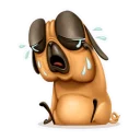 Telegram sticker 😭 Мопс Халк