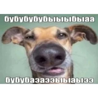 Video sticker 🤪 opiumdripmyasoy2k
