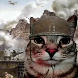 Telegram sticker 🙀 Gurachka production ✨