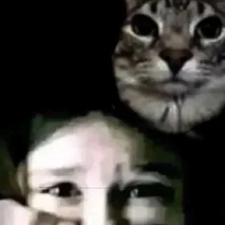 Telegram sticker 🙊 Gurachka production ✨