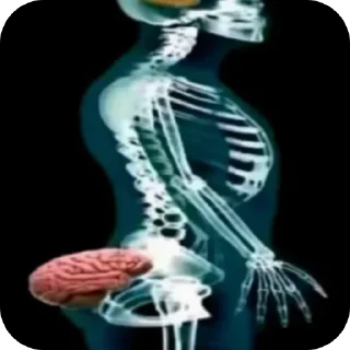 Telegram sticker 🫥 Каша😍 :: @fStikBot