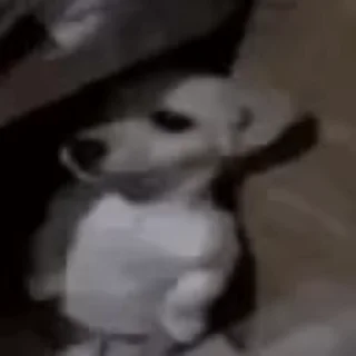 Video sticker 😟 offch7tv :: @fStikBot