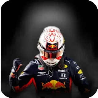 Video sticker 😎 F1 Memes