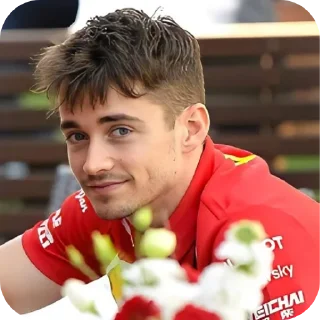 Telegram sticker 🌸 F1 Memes