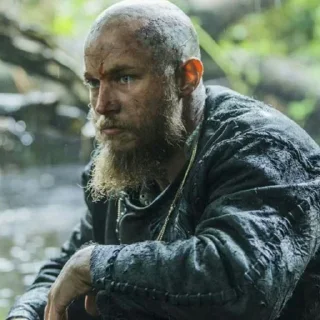 Video sticker 😐 Vikings @stickersb2b