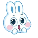 Video sticker 🤩 Заяц @TgSticker