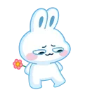 Video sticker 🤩 Заяц @TgSticker