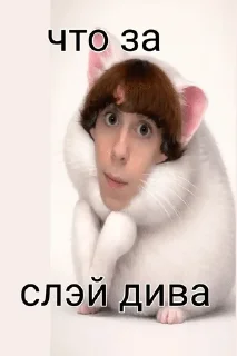 Telegram sticker 🌟 Адам Хомяк не фейк cr @ZAKOH_228 :: @fStikBot