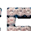 Video sticker 😀 @EmojiGeneratorBot