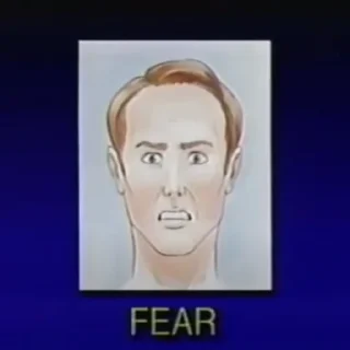 Video sticker 😨 Emotions