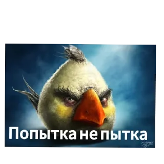 Video sticker 🐦 Неприятный человек попался
