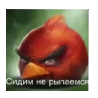 Video sticker 👄 Неприятный человек попался