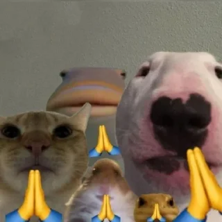 Telegram sticker 🙏 گوز چرب اقا رضا