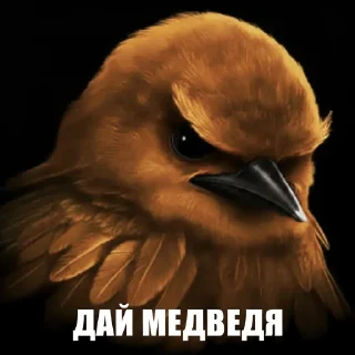 Telegram sticker 🌟 Птицы // @LaLYoU