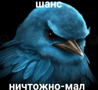 Telegram sticker 🌟 Птицы // @LaLYoU