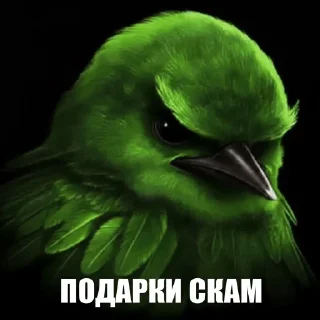 Telegram sticker 🌟 Птицы // @LaLYoU