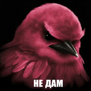 Telegram sticker 🌟 Птицы // @LaLYoU