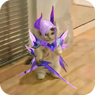 Video sticker 🧸 @hanyslat1 (cat series)