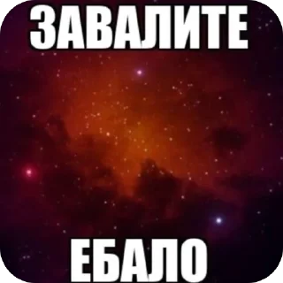 Video sticker 🫥 пиздос