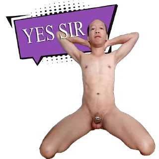 Telegram sticker 🫡 Faggot slut gymtaro