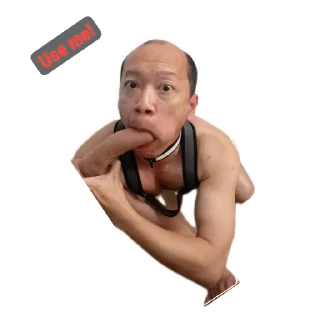 Telegram sticker ✋ Faggot slut gymtaro