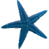 Sticker 🌟 @emojic | 𝗕𝗜𝗧𝗧𝗘𝗥𝗦