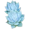 Sticker 🌟 @emojic | 𝗕𝗜𝗧𝗧𝗘𝗥𝗦