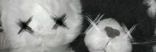 Video sticker 🐼 Набор раздеоителей @meowvalley :: @fStikBot