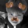 Sticker 🐶 WOOF @Jeherg