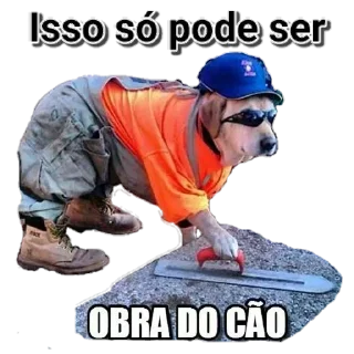 Video sticker 🔌 Zueira