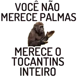 Video sticker 📻 Zueira