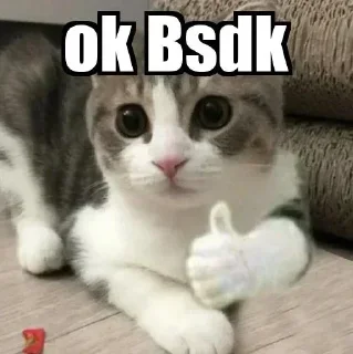 Telegram sticker 👀 prem18editz ke stickers 😼