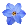 Video sticker 🕊️ – blue. @orphssum