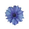 Sticker 🕊️ – blue. @orphssum