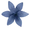 Video sticker 🕊️ – blue. @orphssum
