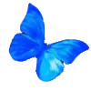 Sticker 🕊️ – blue. @orphssum
