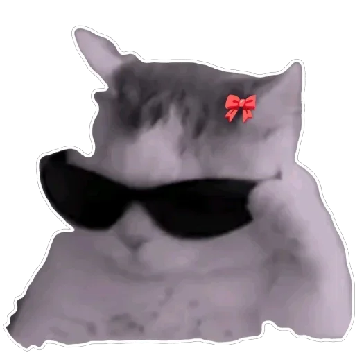 Telegram stiker 🫥 Laeyh @iouis_10