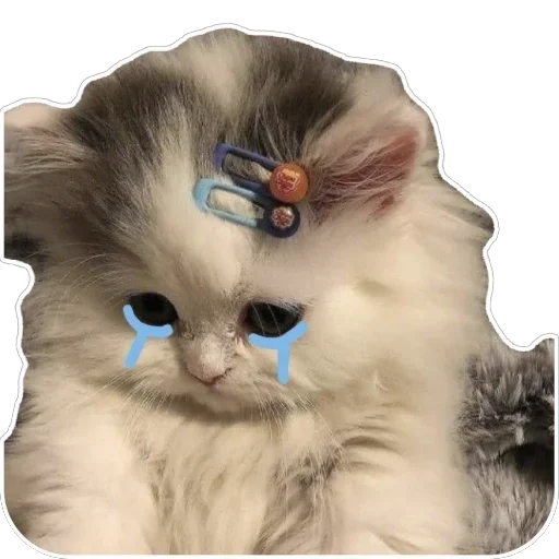 Telegram stiker 🫥 Laeyh @iouis_10