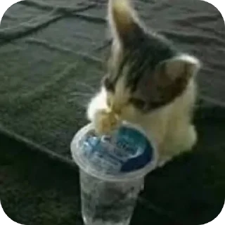 Video sticker 🫥 Laeyh @iouis_10