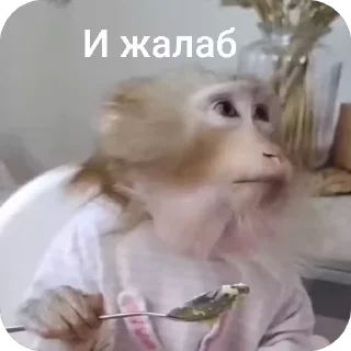 Video sticker 💌 Copgan kot🥸